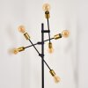 Lampadaire Coppet Noir doré, 6 lumières