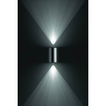 Applique murale d'extérieur Philips Buxus LED Acier inoxydable, 2 lumières