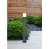 Borne lumineuse Trio Hoosic Anthracite, 1 lumière