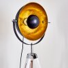 Lampadaire Jupiter Noir doré, Blanc, 1 lumière