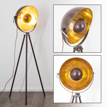 Lampadaire Maloy Chrome, Rouille, 1 lumière