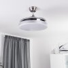 Ventilateur de plafond Bendigo LED Chrome, 1 lumière