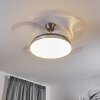 Ventilateur de plafond Bendigo LED Chrome, 1 lumière