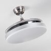 Ventilateur de plafond Bendigo LED Chrome, 1 lumière