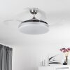 Ventilateur de plafond Bendigo LED Chrome, 1 lumière