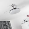 Ventilateur de plafond Bendigo LED Chrome, 1 lumière