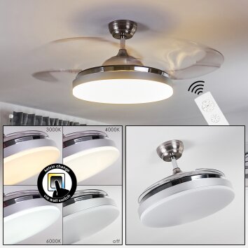 Ventilateur de plafond Bendigo LED Chrome, 1 lumière