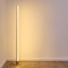 Lampadaire Pipe LED Nickel mat, 1 lumière, Télécommandes, Changeur de couleurs