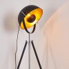 Lampadaire Jupiter Noir doré, 1 lumière