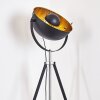 Lampadaire Jupiter Noir doré, 1 lumière