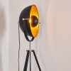 Lampadaire Jupiter Noir doré, 1 lumière