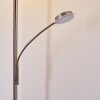 Lampadaire à vasque Veteli LED Blanc, 2 lumières