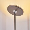 Lampadaire à vasque Veteli LED Blanc, 2 lumières