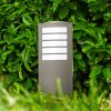 Lampe d'extérieur Alslev Anthracite, 1 lumière
