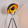 Lampadaire Jupiter Noir doré, 1 lumière