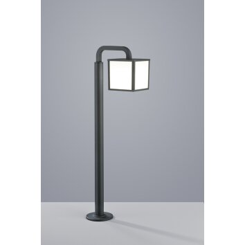 Borne lumineuse Trio CUBANGO Anthracite, 1 lumière