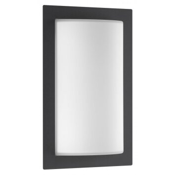 Lampe murale d'extérieur LCD Anthracite, 1 lumière