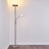 Lampadaire à vasque Veteli LED Acier inoxydable, 2 lumières