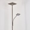 Lampadaire à vasque Veteli LED Acier inoxydable, 2 lumières