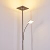 Lampadaire à vasque Veteli LED Acier inoxydable, 2 lumières