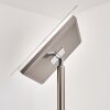 Lampadaire à vasque Veteli LED Acier inoxydable, 2 lumières