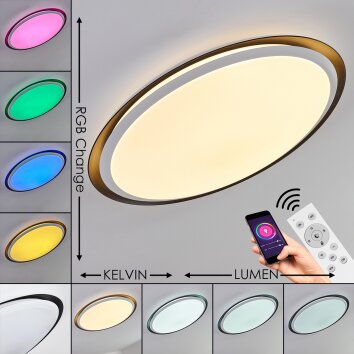 Plafonnier Vejle LED Blanc, 2 lumières, Changeur de couleurs
