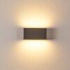 Applique murale d'extérieur Duluth LED Anthracite, 1 lumière