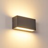 Applique murale d'extérieur Duluth LED Anthracite, 1 lumière