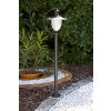 Lampadaire extérieur Lucide ARUBA Noir, Blanc, 1 lumière