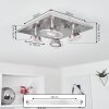 Plafonnier Marsen LED Nickel mat, 4 lumières, Télécommandes, Changeur de couleurs