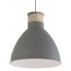 Suspension Steinhauer Vivette Gris, Bois clair, 1 lumière