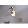 Ventilateur Globo PREMIER Acier inoxydable, Nickel mat, 2 lumières