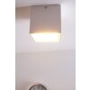 Plafonnier LED Helestra Aluminium, Blanc, 1 lumière