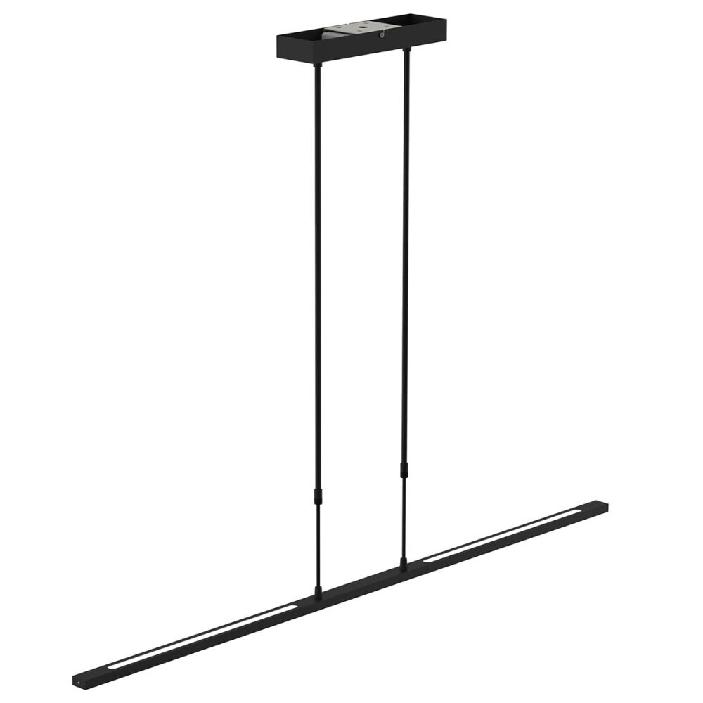 Suspension Steinhauer Zelena LED Noir, 1 lumière main product photo