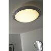 Plafonnier Trio 6265 LED Titane, Blanc, 1 lumière