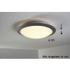 Plafonnier Trio 6265 LED Titane, Blanc, 1 lumière