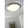 Plafonnier Trio 6265 LED Titane, Blanc, 1 lumière