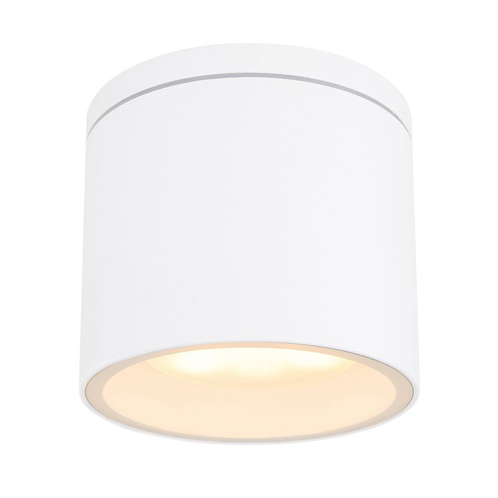 plafonnier extérieur Globo ALCALA Blanc, 1 lumière main product photo
