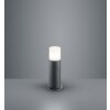 Lampadaire d'extérieur Trio Leuchten HOOSIC Anthracite, 1 lumière