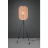 Lampadaire Trio Runa Noir, 1 lumière