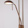 Lampadaire Steinhauer Mexlite LED Bronze, 2 lumières