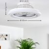 Ventilateur de plafond Piraeus LED Titane, Blanc, 1 lumière, Télécommandes