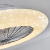 Ventilateur de plafond Piraeus LED Titane, Blanc, 1 lumière, Télécommandes