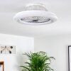 Ventilateur de plafond Piraeus LED Titane, Blanc, 1 lumière, Télécommandes