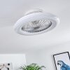 Ventilateur de plafond Piraeus LED Titane, Blanc, 1 lumière, Télécommandes