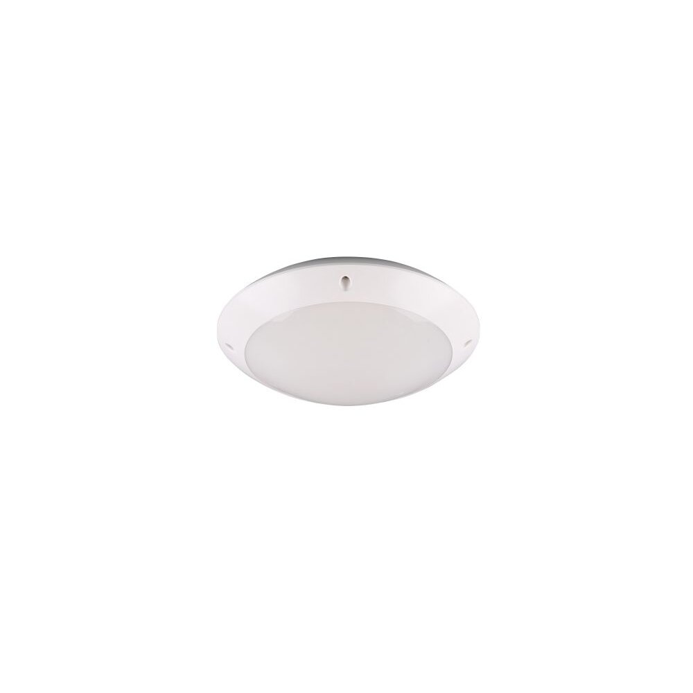 Plafonnier d'extérieur Reality CAMARO Blanc, 1 lumière main product photo