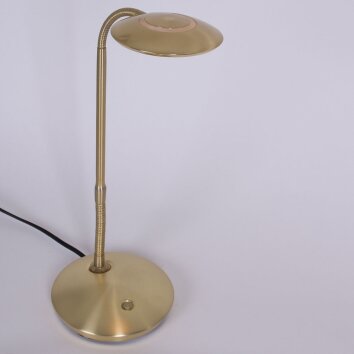 Lampe à poser Steinhauer Zenith LED Laiton, 1 lumière