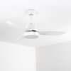 Ventilateur de plafond Doha LED Blanc, 1 lumière, Télécommandes