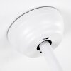 Ventilateur de plafond Doha LED Blanc, 1 lumière, Télécommandes