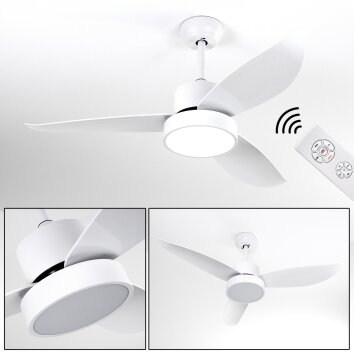 Ventilateur de plafond Doha LED Blanc, 1 lumière, Télécommandes